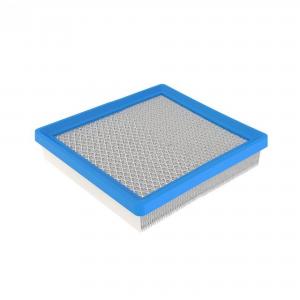 Air Filter - Briggs & Stratton