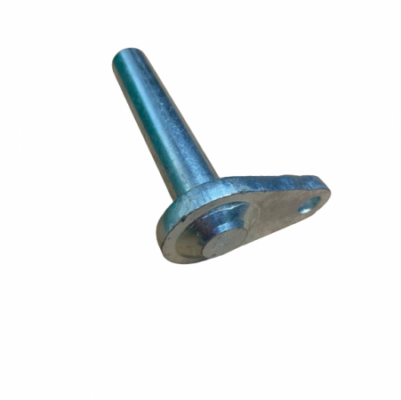 Taildoor pin