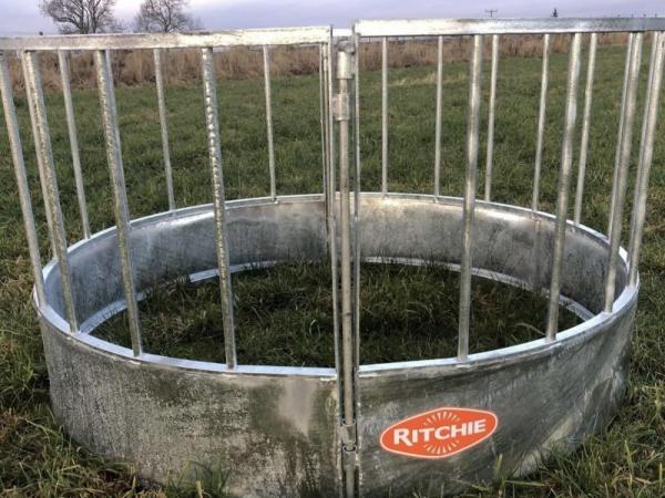 Ritchie Sheep Feed Rings Vertical