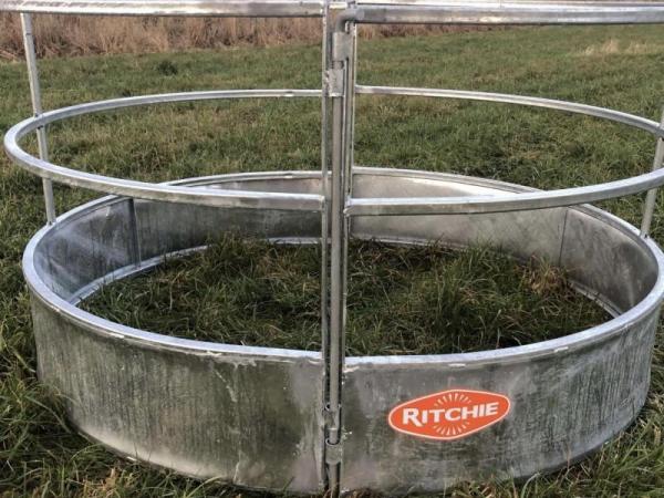 Ritchie Sheep Feed Rings Horned